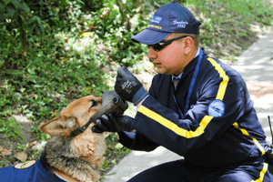 Empresa de vigilancia privada con perros